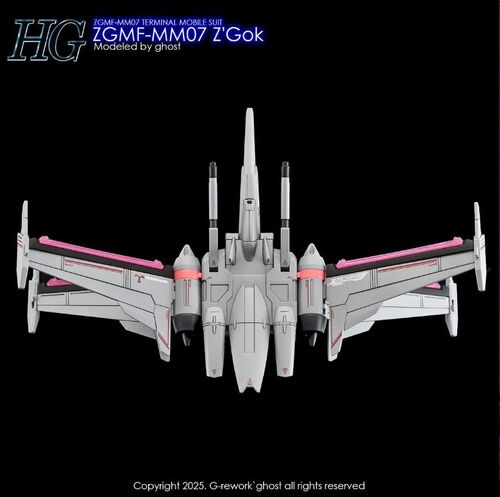 G-REWORK -HG- ZGMF-MM07 Z'GOK  GUNDAM
