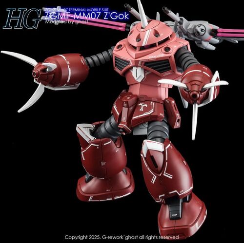 G-REWORK -HG- ZGMF-MM07 Z'GOK  GUNDAM