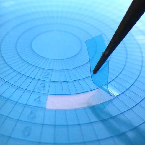 GUNPRIMER - PANEL LINE GUIDE V2 - CURVED LINE