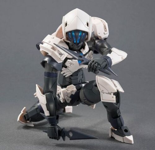 30MF- 11 - ROSAN  ASSASSIN