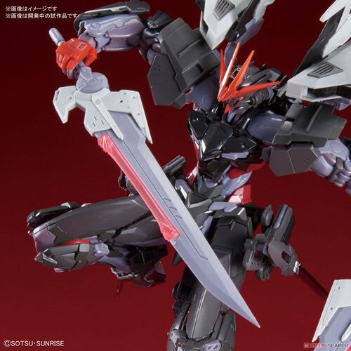 GUNDAM HIRM -04- ASTRAY NOIR 1/100