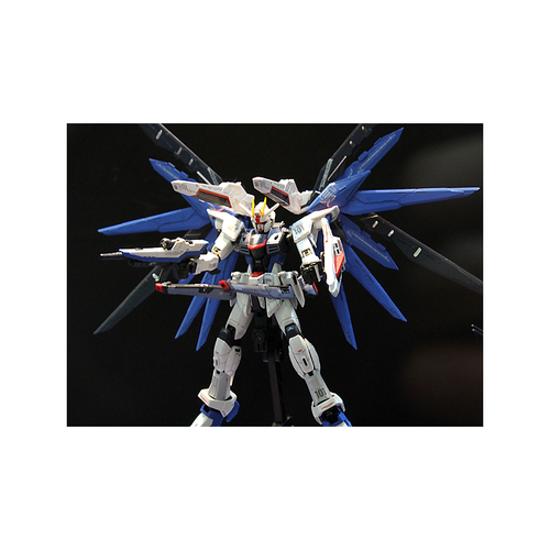 GUNDAM RG -05- SEED ZGMF-X10A FREEDOM GUNDAM 1/144