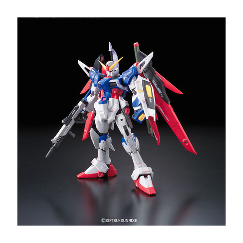 GUNDAM RG -11- SEED ZGMF-X42S DESTINY GUNDAM 1/144