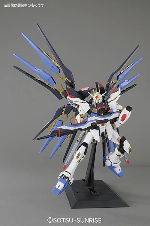 GUNDAM PG -14- ZGMF-X20A